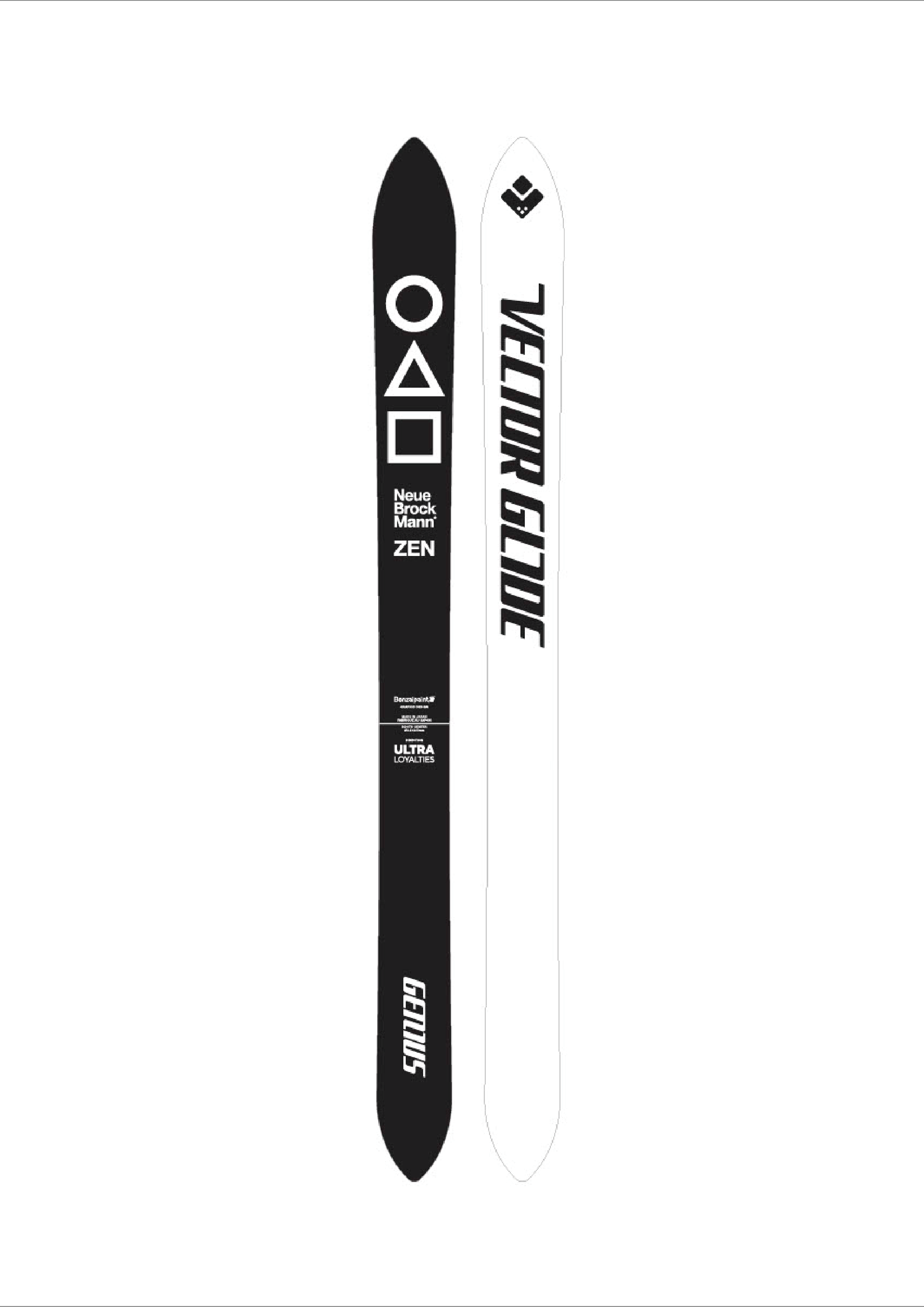 スキー板 Vectorglide バインディング付き118 CARBON GENIUS BCスキー